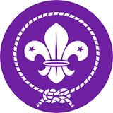 World Scouting Logo
